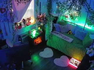 voyeurcam-veccasalt-01 webcam