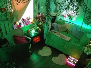 voyeurcam-veccasalt-01 webcam