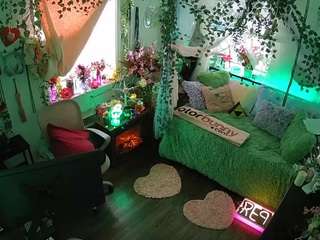 voyeurcam-veccasalt-01 webcam