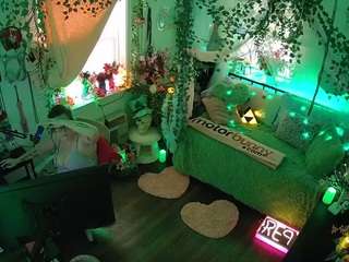 voyeurcam-veccasalt-01 webcam