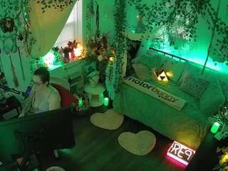 voyeurcam-veccasalt-01