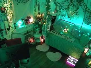 voyeurcam-veccasalt-01 webcam