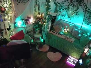 voyeurcam-veccasalt-01 webcam