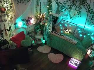 voyeurcam-veccasalt-01 webcam