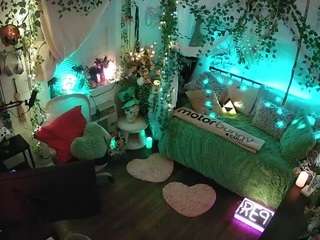 voyeurcam-veccasalt-01 webcam