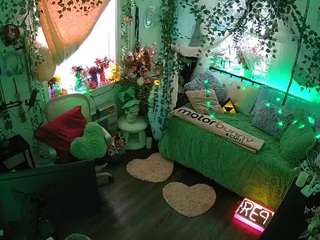 voyeurcam-veccasalt-01 webcam