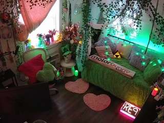 voyeurcam-veccasalt-01 webcam