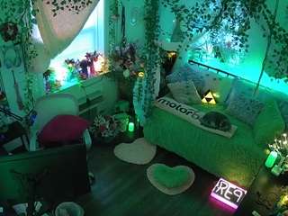 voyeurcam veccasalt 01