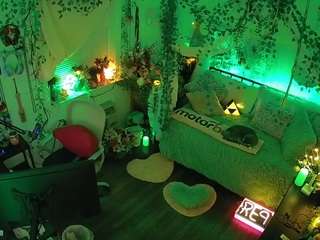 voyeurcam veccasalt 01