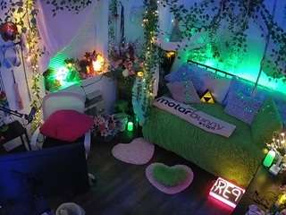 voyeurcam-veccasalt-01 webcam