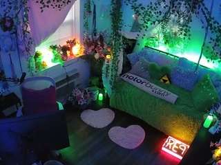 voyeurcam-veccasalt-01