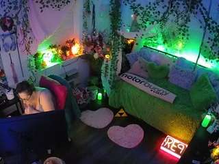 voyeurcam-veccasalt-01