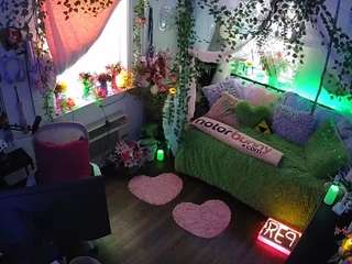 voyeurcam-veccasalt-01 webcam