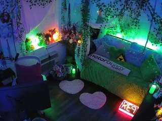 voyeurcam-veccasalt-01 webcam