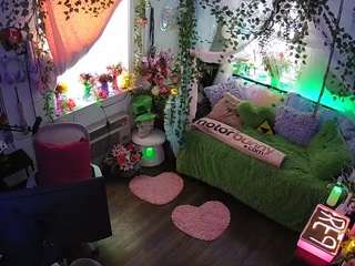 voyeurcam-veccasalt-01