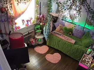 voyeurcam-veccasalt-01