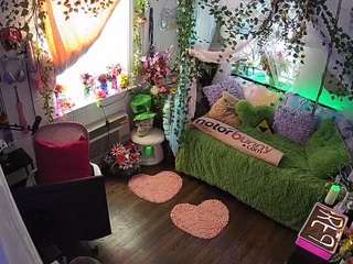 voyeurcam-veccasalt-01 webcam