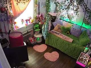 voyeurcam-veccasalt-01 webcam