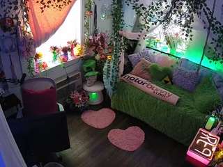 voyeurcam-veccasalt-01 webcam