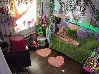 voyeurcam-veccasalt-01 webcam