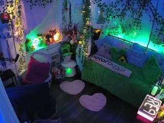 voyeurcam-veccasalt-01 webcam