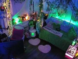 voyeurcam-veccasalt-01 webcam