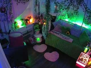 voyeurcam veccasalt 01