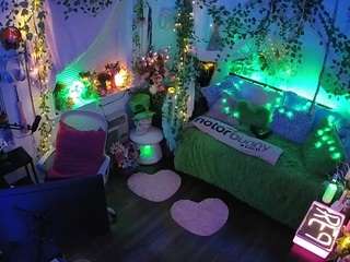 voyeurcam veccasalt 01