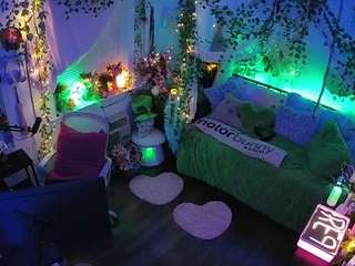 voyeurcam-veccasalt-01 webcam