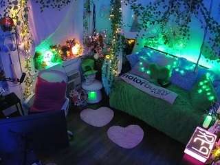 voyeurcam-veccasalt-01 webcam