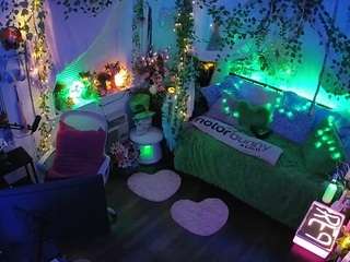 voyeurcam-veccasalt-01 webcam