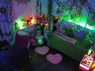 voyeurcam-veccasalt-01 webcam