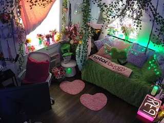 voyeurcam-veccasalt-01 webcam