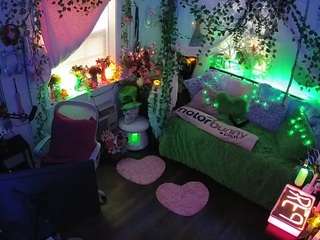 voyeurcam-veccasalt-01 webcam