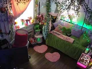 voyeurcam-veccasalt-01's CamSoda show and profile