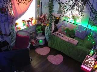 voyeurcam-veccasalt-01 webcam