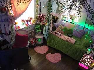 voyeurcam-veccasalt-01 webcam