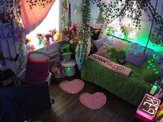 voyeurcam-veccasalt-01 webcam