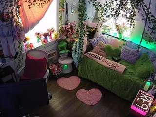 voyeurcam-veccasalt-01 webcam