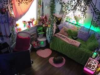 voyeurcam-veccasalt-01 webcam