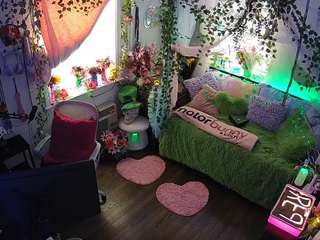 voyeurcam-veccasalt-01 webcam