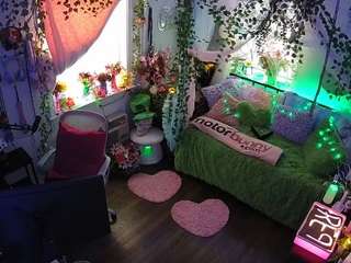 voyeurcam-veccasalt-01