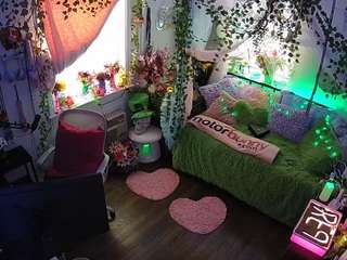 voyeurcam-veccasalt-01 webcam