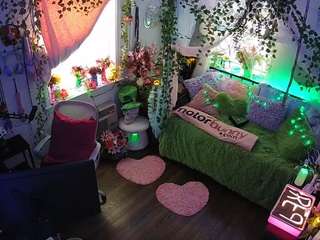 voyeurcam-veccasalt-01 webcam