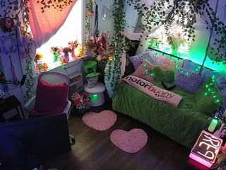 voyeurcam-veccasalt-01 webcam