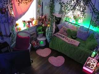 voyeurcam-veccasalt-01 webcam