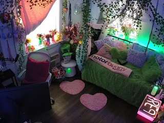 voyeurcam-veccasalt-01 webcam