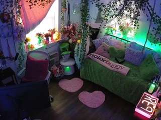 voyeurcam-veccasalt-01