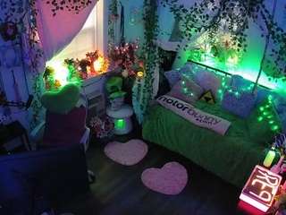 voyeurcam-veccasalt-01 webcam