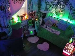 voyeurcam-veccasalt-01